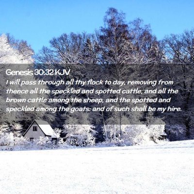 Picture 02 - Genesis 30:32 KJV - I will pass through all thy flock to day, - Bible Verse Picture
