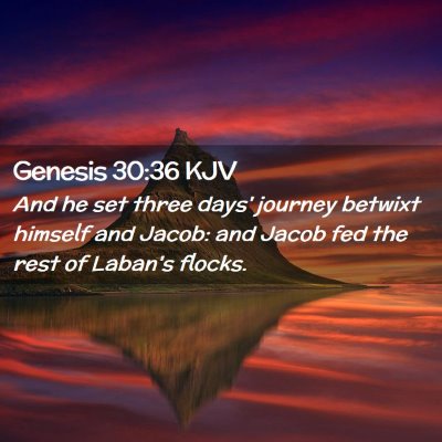 Picture 02 - Genesis 30:36 KJV - And he set three days' journey betwixt himself - Bible Verse Picture