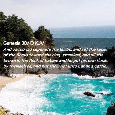 Picture 02 - Genesis 30:40 KJV - And Jacob did separate the lambs, and set the - Bible Verse Picture