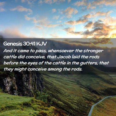 Picture 02 - Genesis 30:41 KJV - And it came to pass, whensoever the stronger - Bible Verse Picture