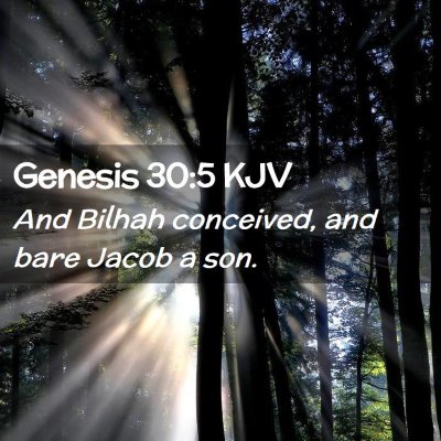 Picture 02 - Genesis 30:5 KJV - And Bilhah conceived, and bare Jacob a - Bible Verse Picture