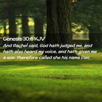 Picture 02 - Genesis 30:6 KJV - And Rachel said, God hath judged me, and hath - Bible Verse Picture