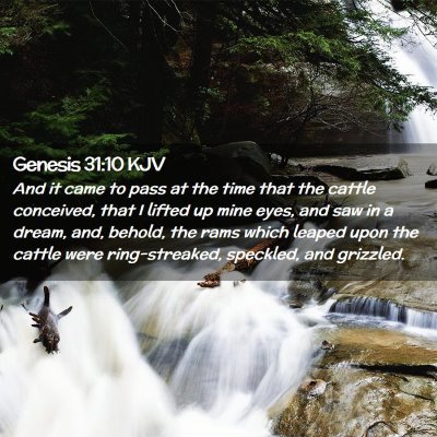 Picture 02 - Genesis 31:10 KJV - And it came to pass at the time that the cattle - Bible Verse Picture