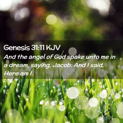 Picture 02 - Genesis 31:11 KJV - And the angel of God spake unto me in a dream, - Bible Verse Picture