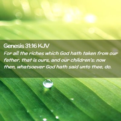 Picture 02 - Genesis 31:16 KJV - For all the riches which God hath taken from our - Bible Verse Picture