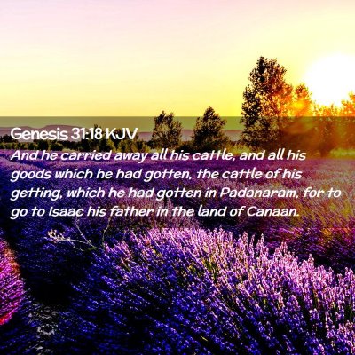 Picture 02 - Genesis 31:18 KJV - And he carried away all his cattle, and all his - Bible Verse Picture