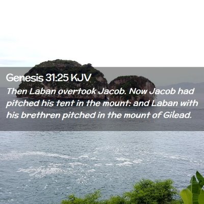 Picture 02 - Genesis 31:25 KJV - Then Laban overtook Jacob. Now Jacob had pitched - Bible Verse Picture