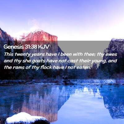 Picture 02 - Genesis 31:38 KJV - This twenty years have I been with thee; thy ewes - Bible Verse Picture