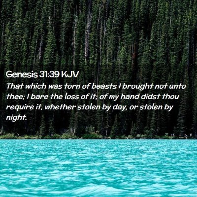 Picture 02 - Genesis 31:39 KJV - That which was torn of beasts I brought not unto - Bible Verse Picture