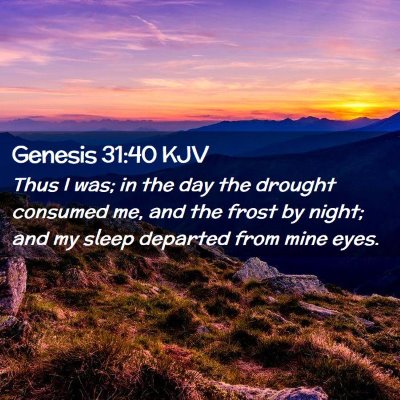 Picture 02 - Genesis 31:40 KJV - Thus I was; in the day the drought consumed me, - Bible Verse Picture