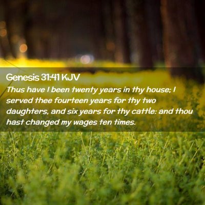 Picture 02 - Genesis 31:41 KJV - Thus have I been twenty years in thy house; I - Bible Verse Picture