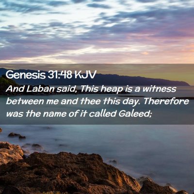 Picture 02 - Genesis 31:48 KJV - And Laban said, This heap is a witness between me - Bible Verse Picture