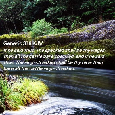 Picture 02 - Genesis 31:8 KJV - If he said thus, The speckled shall be thy wages; - Bible Verse Picture