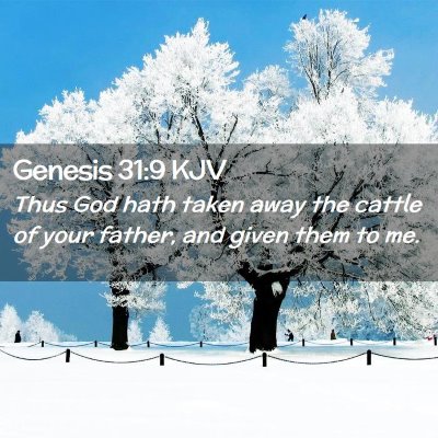 Picture 02 - Genesis 31:9 KJV - Thus God hath taken away the cattle of your - Bible Verse Picture