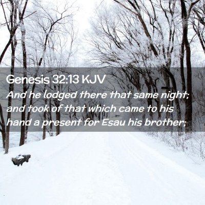 Picture 02 - Genesis 32:13 KJV - And he lodged there that same night; and took of - Bible Verse Picture