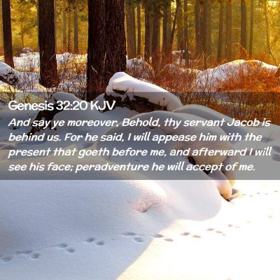 Picture 02 - Genesis 32:20 KJV - And say ye moreover, Behold, thy servant Jacob is - Bible Verse Picture