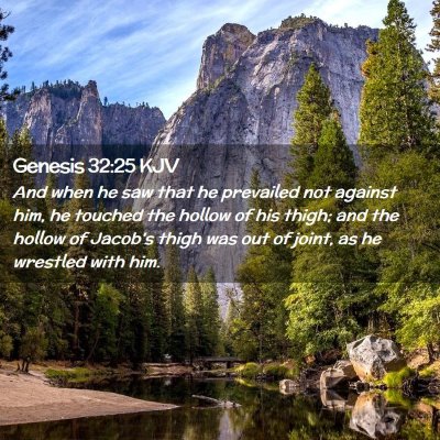 Picture 02 - Genesis 32:25 KJV - And when he saw that he prevailed not against - Bible Verse Picture