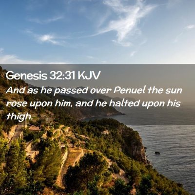 Picture 02 - Genesis 32:31 KJV - And as he passed over Penuel the sun rose upon - Bible Verse Picture
