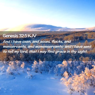 Picture 02 - Genesis 32:5 KJV - And I have oxen, and asses, flocks, and - Bible Verse Picture