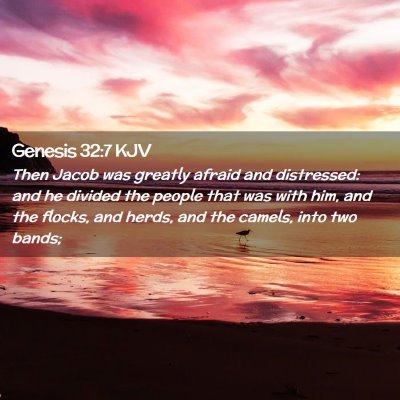 Picture 02 - Genesis 32:7 KJV - Then Jacob was greatly afraid and distressed: and - Bible Verse Picture