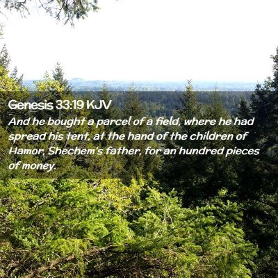 Picture 02 - Genesis 33:19 KJV - And he bought a parcel of a field, where he had - Bible Verse Picture