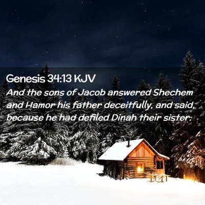 Picture 02 - Genesis 34:13 KJV - And the sons of Jacob answered Shechem and Hamor - Bible Verse Picture