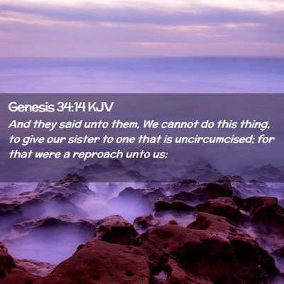Picture 02 - Genesis 34:14 KJV - And they said unto them, We cannot do this thing, - Bible Verse Picture