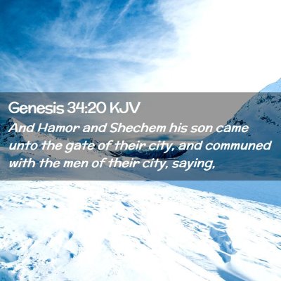 Picture 02 - Genesis 34:20 KJV - And Hamor and Shechem his son came unto the gate - Bible Verse Picture
