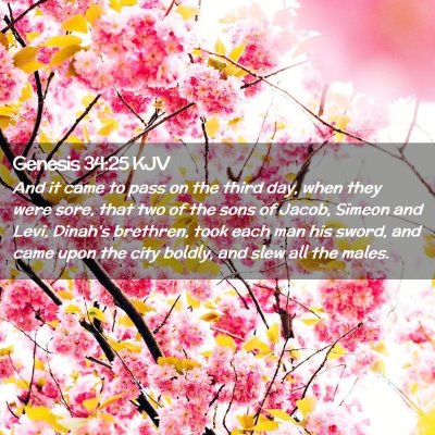 Picture 02 - Genesis 34:25 KJV - And it came to pass on the third day, when they - Bible Verse Picture
