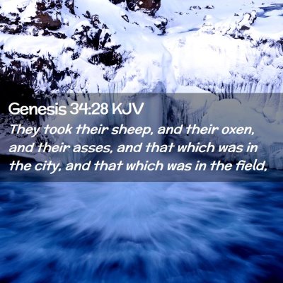 Picture 02 - Genesis 34:28 KJV - They took their sheep, and their oxen, and their - Bible Verse Picture