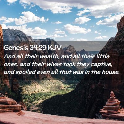 Picture 02 - Genesis 34:29 KJV - And all their wealth, and all their little ones, - Bible Verse Picture