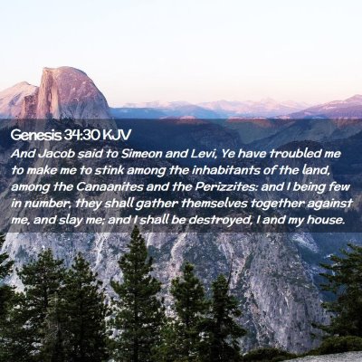 Picture 02 - Genesis 34:30 KJV - And Jacob said to Simeon and Levi, Ye have - Bible Verse Picture