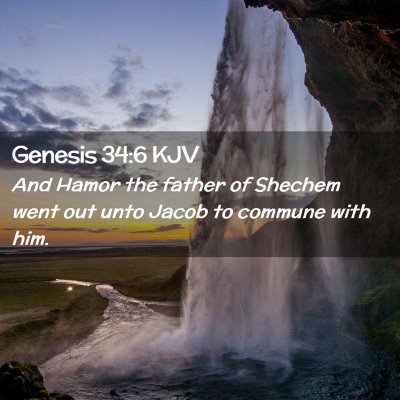Picture 02 - Genesis 34:6 KJV - And Hamor the father of Shechem went out unto - Bible Verse Picture