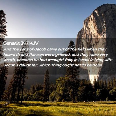 Picture 02 - Genesis 34:7 KJV - And the sons of Jacob came out of the field when - Bible Verse Picture