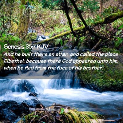 Picture 02 - Genesis 35:7 KJV - And he built there an altar, and called the place - Bible Verse Picture