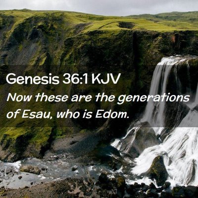 Picture 02 - Genesis 36:1 KJV - Now these are the generations of Esau, who is - Bible Verse Picture