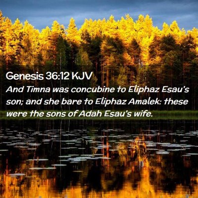 Picture 02 - Genesis 36:12 KJV - And Timna was concubine to Eliphaz Esau's son; - Bible Verse Picture