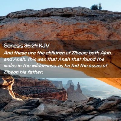 Picture 02 - Genesis 36:24 KJV - And these are the children of Zibeon; both Ajah, - Bible Verse Picture