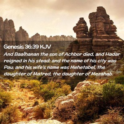 Picture 02 - Genesis 36:39 KJV - And Baalhanan the son of Achbor died, and Hadar - Bible Verse Picture