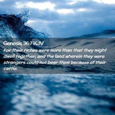 Picture 02 - Genesis 36:7 KJV - For their riches were more than that they might - Bible Verse Picture