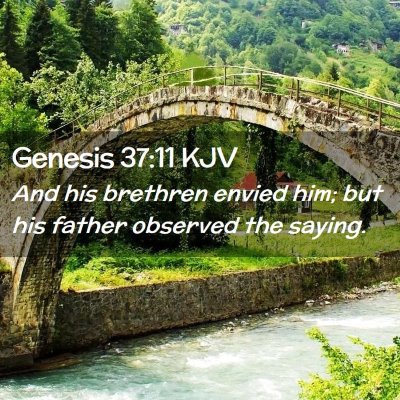 Picture 02 - Genesis 37:11 KJV - And his brethren envied him; but his father - Bible Verse Picture