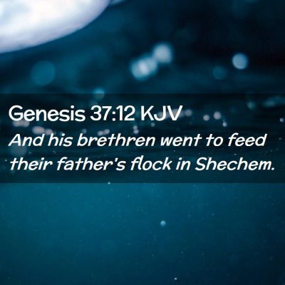 Picture 02 - Genesis 37:12 KJV - And his brethren went to feed their father's - Bible Verse Picture