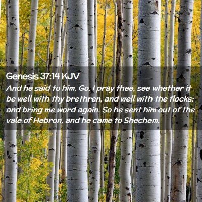 Picture 02 - Genesis 37:14 KJV - And he said to him, Go, I pray thee, see whether - Bible Verse Picture