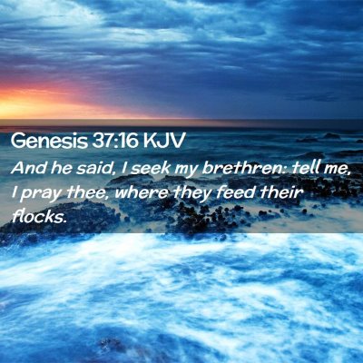 Picture 02 - Genesis 37:16 KJV - And he said, I seek my brethren: tell me, I pray - Bible Verse Picture