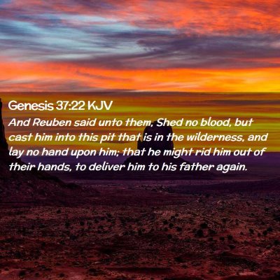 Picture 02 - Genesis 37:22 KJV - And Reuben said unto them, Shed no blood, but - Bible Verse Picture