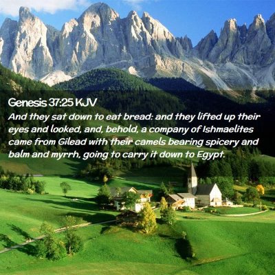 Picture 02 - Genesis 37:25 KJV - And they sat down to eat bread: and they lifted - Bible Verse Picture