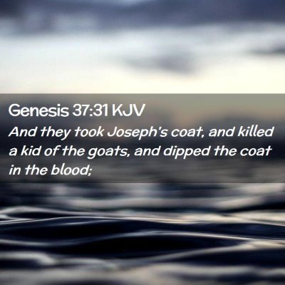 Picture 02 - Genesis 37:31 KJV - And they took Joseph's coat, and killed a kid of - Bible Verse Picture
