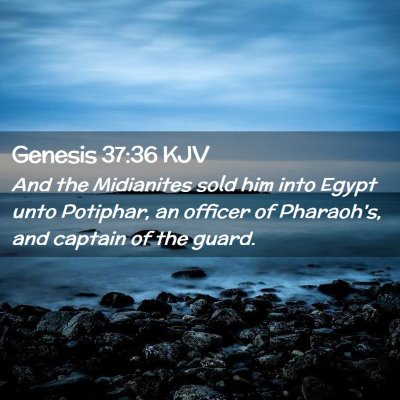 Picture 02 - Genesis 37:36 KJV - And the Midianites sold him into Egypt unto - Bible Verse Picture