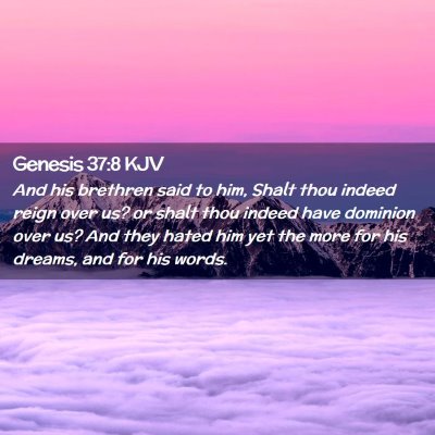 Picture 02 - Genesis 37:8 KJV - And his brethren said to him, Shalt thou indeed - Bible Verse Picture