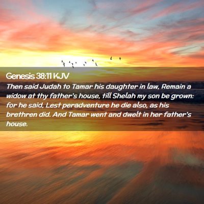 Picture 02 - Genesis 38:11 KJV - Then said Judah to Tamar his daughter in law, - Bible Verse Picture